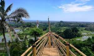 Twin Hill, Menikmati Pesona Alam yang Diapit Dua Bukit Eksotis di Gianyar