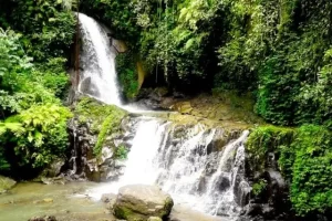 Daya Tarik Air Terjun Pengibul