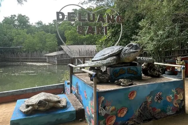 Penangkaran Penyu Deluang Sari Bali