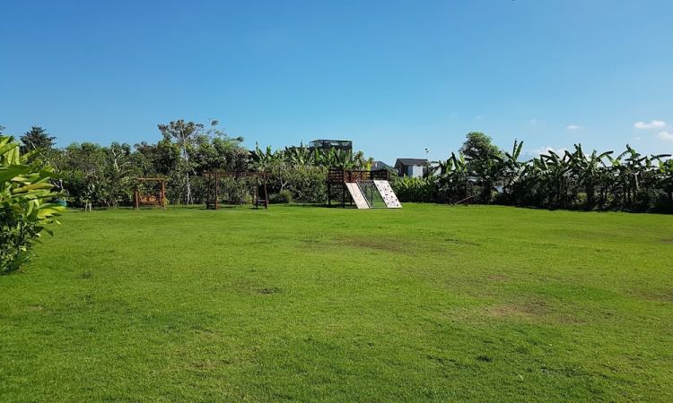 Aktivitas Menarik Desa Budaya Kertalangu