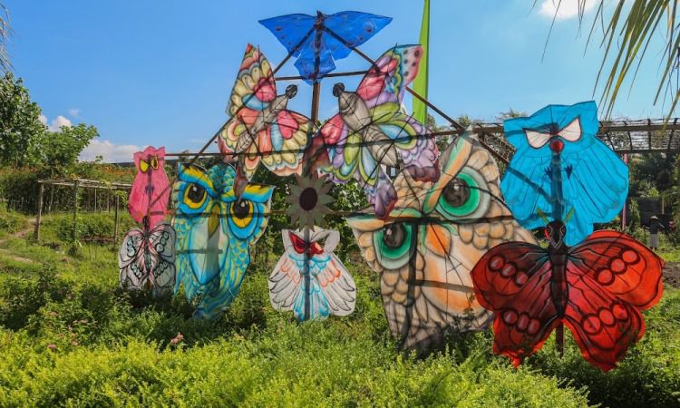 Aktivitas Menarik di Narmada Botanic Garden