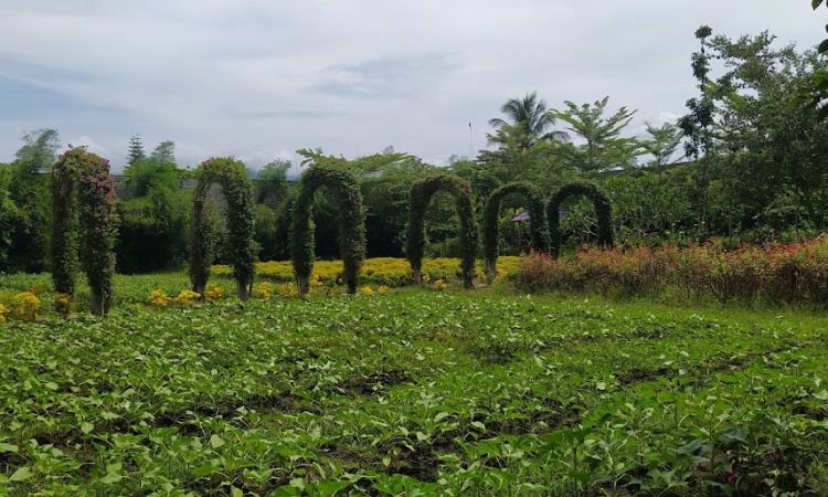 Fasilitas di Narmada Botanic Garden