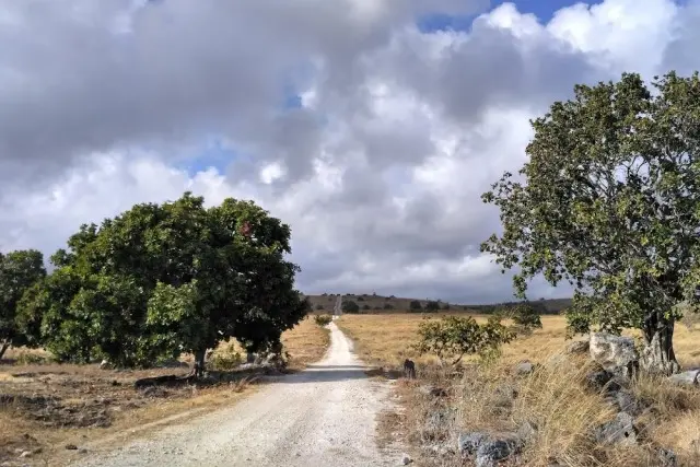 Alamat Savana Puru Kambera