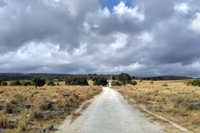 Daya Tarik Wisata Savana Puru Kambera