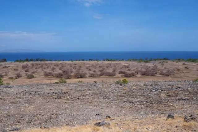 Fasilitas Savana Puru Kambera