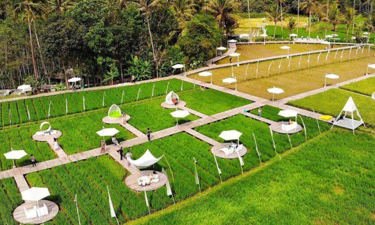 Svargabumi Borobudur, Spot Instagramable dengan View Persawahan di Magelang