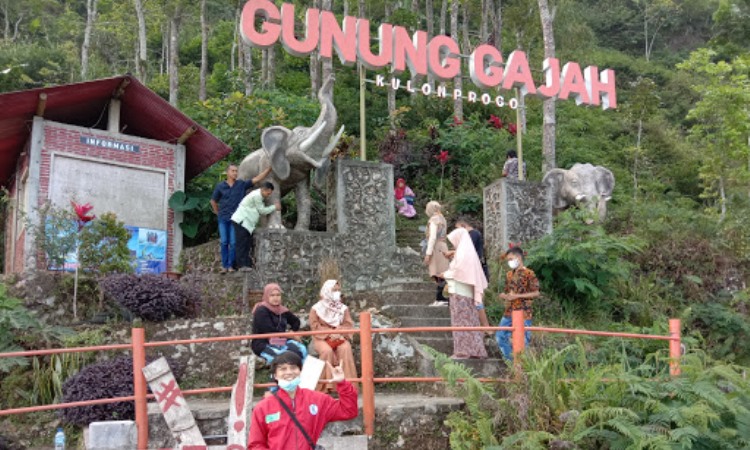 Aktivitas Gajah Kulon Progo