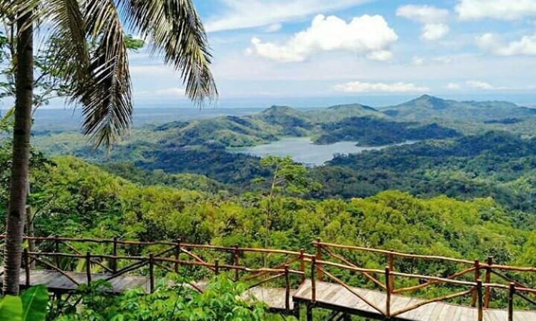 Bukit Pule Payung Kulon Progo