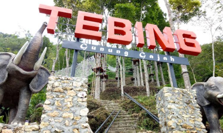 Daya Tarik Gajah Kulon Progo