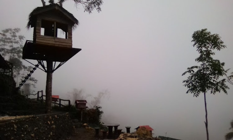 Daya Tarik Gunaung Gajah Kulon Progo