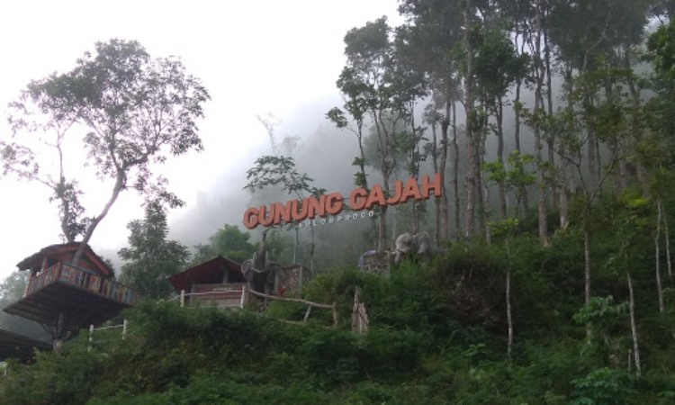 Ticket Gunung Gajah Kulon Progo