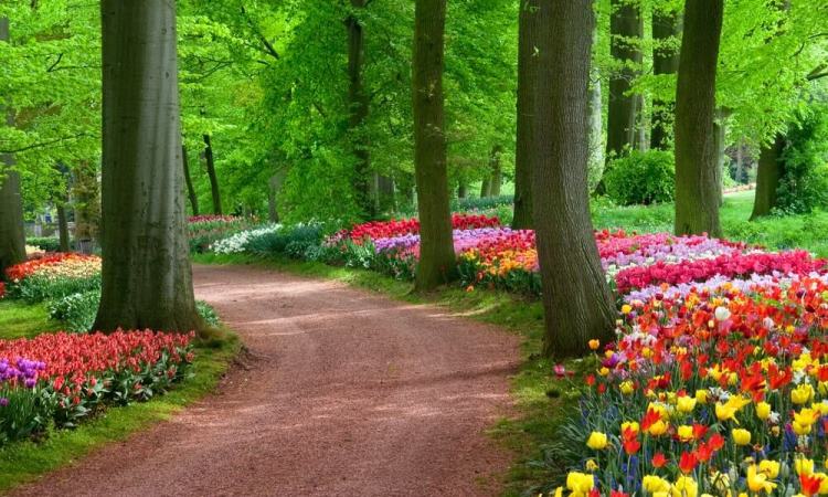 Taman Kyai Langgeng, Taman Wisata Favorit & Sarana Edukasi di Magelang