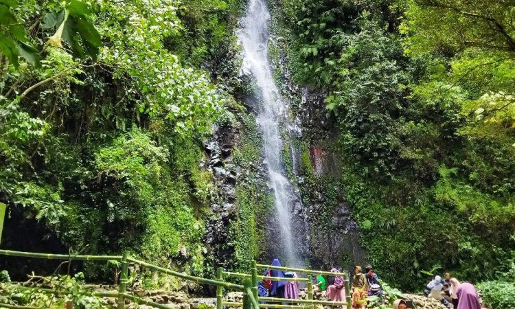 Aktivitas Dilakukan di Air Terjun Tlogo Muncar