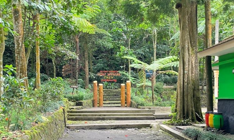 Harga Tiket Masuk Air Terjun Tlogo Muncar