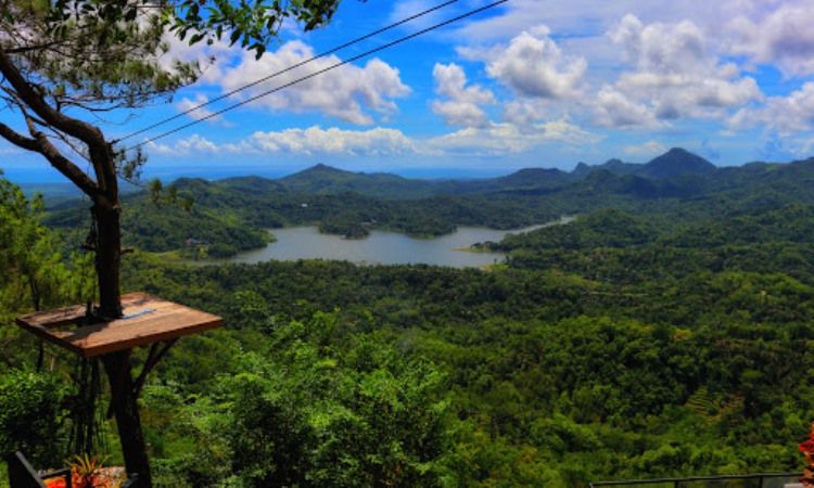 Wisata Alam Kalibiru Jogja Yang Seru Dan Menakjubkan Di Kulon Progo