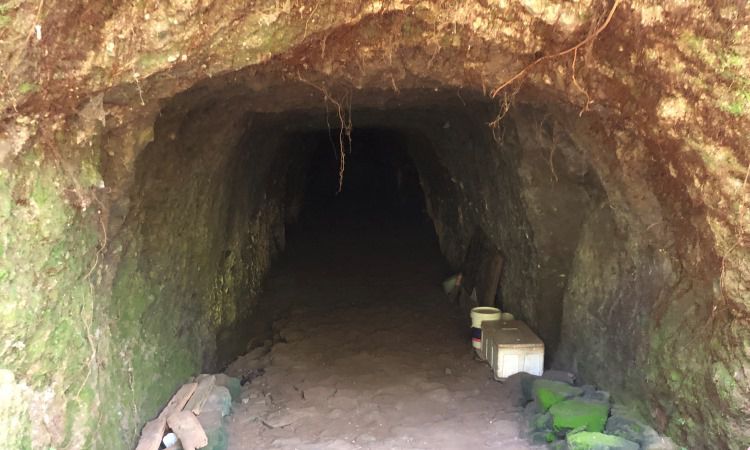 Goa Jepang Kaliurang, Situs Sejarah Peninggalan Masa Penjajahan Jepang di Jogja