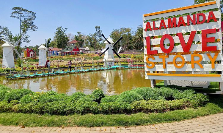 Wisata Taman Alamanda Jogja Flower Garden