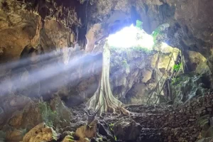 Daya Tarik Goa Gajah Mangunan