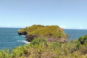 Daya Tarik Pulau Kalong