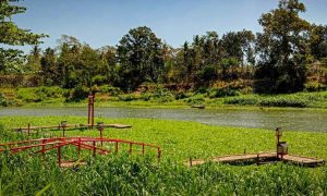 Kalinampu Natural Park, Spot Foto Kekinian Ala Jepang di Bantul