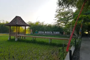 Shutterstock Wisata Desa Wisata Tembi