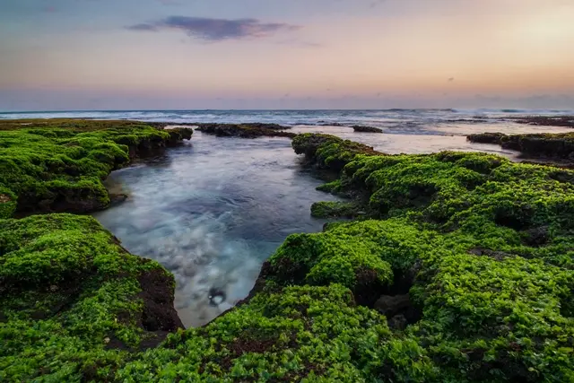 Shutterstock Aktivitas Pantai Ngrumput
