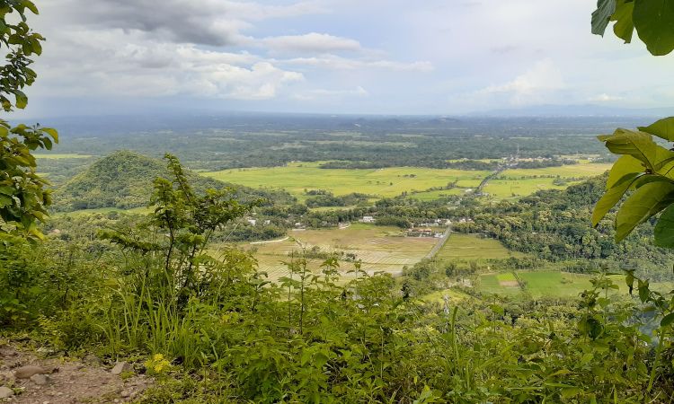 Daya Tarik Wisata Puncak Moyeng