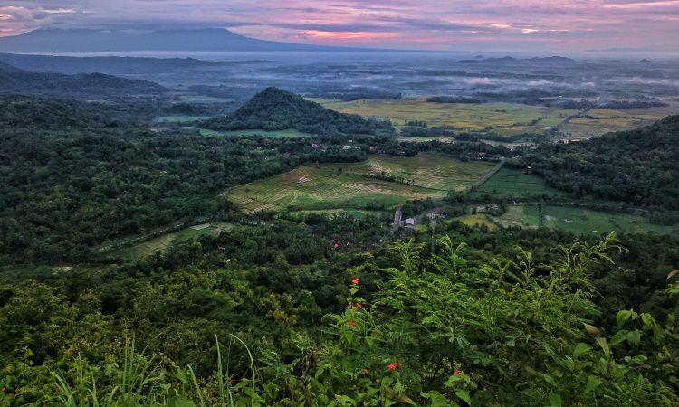 Puncak Moyeng, Spot Camping Seru dengan View Gunung Merbabu di Kulon Progo
