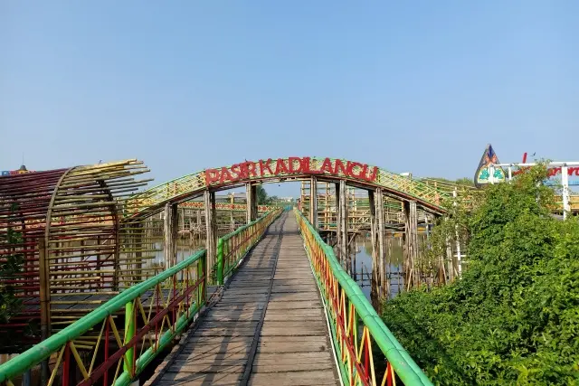 Hutan Mangrove Kadilangu, Mengenal Konservasi Tanaman Bakau Pertama di Yogyakarta