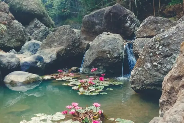 Aktivitas Kedung Bunder Kajor Wetan