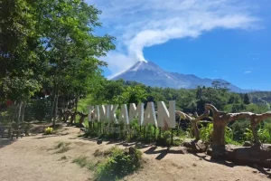 Daya Tarik Tankaman Natural Park