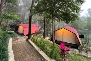 Glamping Songgolangit