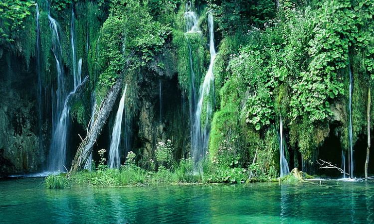 20 Air Terjun (Curug) di Bogor yang Paling Indah & Hits