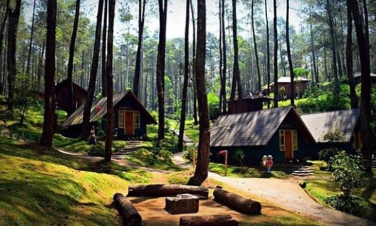 10 Tempat Wisata Dekat Grafika Cikole Lembang Terhits Buat Liburan