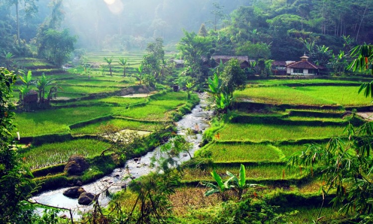 20 Tempat Wisata Alam di Bogor yang Populer Buat Liburan