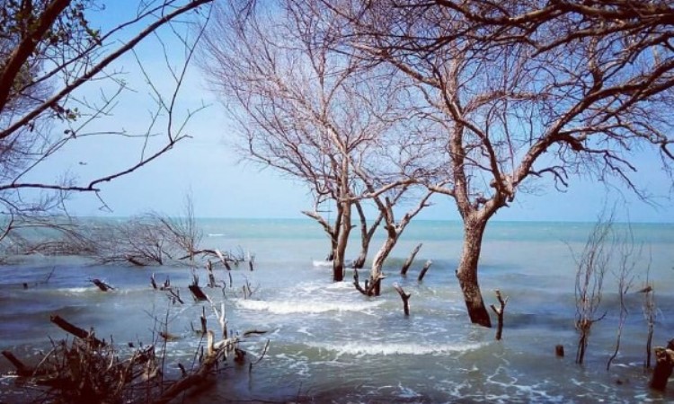 8 Wisata Pantai di Bekasi Paling Hits Buat Liburan