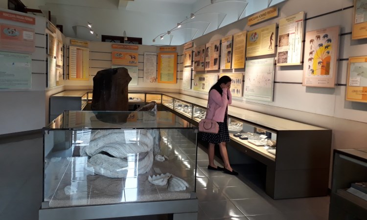 Aktivitas Seru Dilakukan di Museum Geologi Bandung