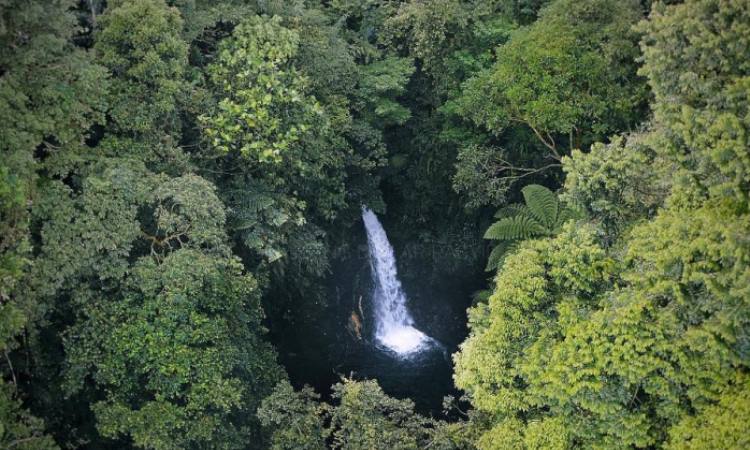 Curug Cigamea, Air Terjun Kembar yang Menakjubkan di Bogor