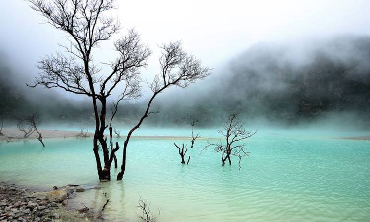 Daya Tarik Kawah Putih Ciwidey