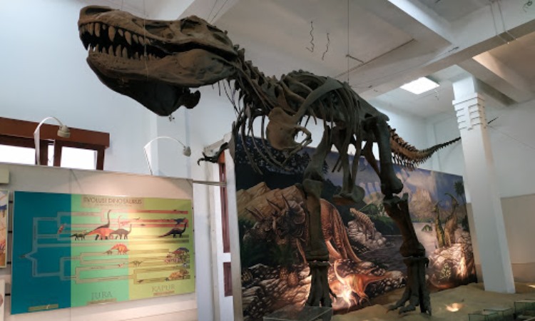 Daya Tarik Museum Geologi