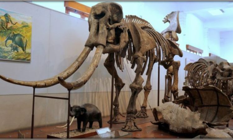 Museum Geologi Bandung