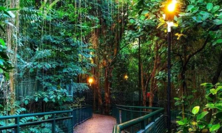 Babakan Siliwangi, Hutan Kota yang Menyejukkan di Bandung