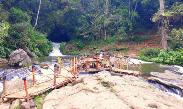 Curug Layung, Air Terjun Eksotis Nan Indah di Tengah Hutan Pinus