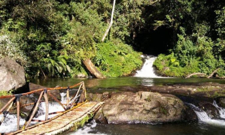 Daya TarikCurug Layung