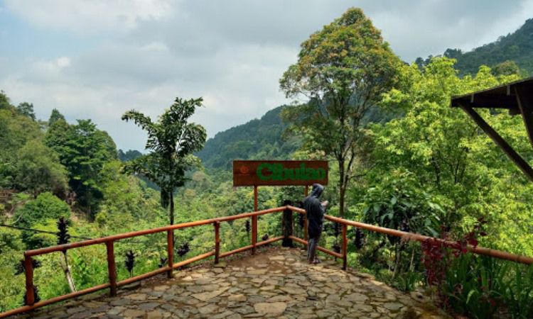 Aktivitas yang Menarik di Curug Cibulao