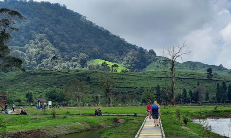 Aktivitas Menarik Di Wisata Alam Telaga Saat Puncak Bogor