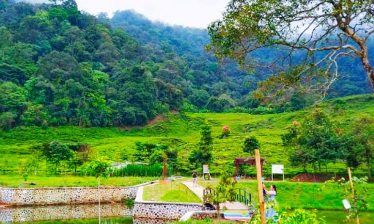 Aktivitas Menarik Lainnya Di Wisata Alam Telaga Saat Puncak Bogor