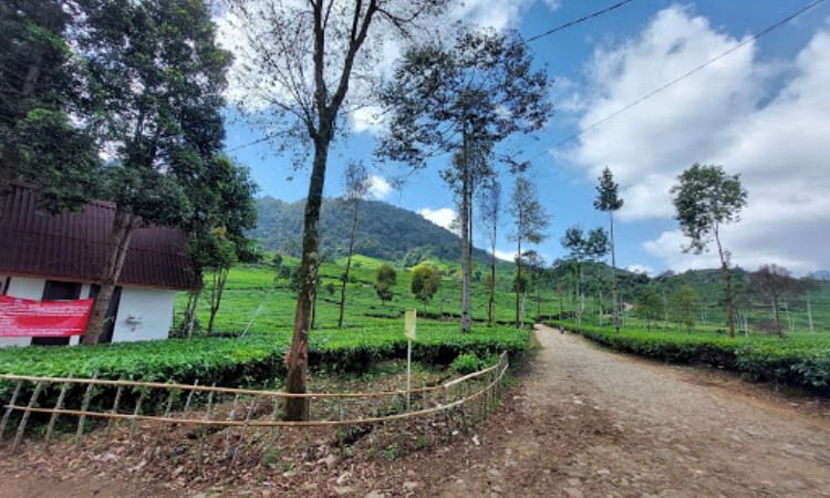 Lokasi Wisata Alam Telaga Saat Puncak Bogor