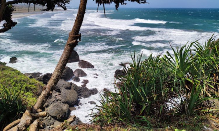 Aktivitas Menarik Di Wisata Alam Puncak Guha Garut