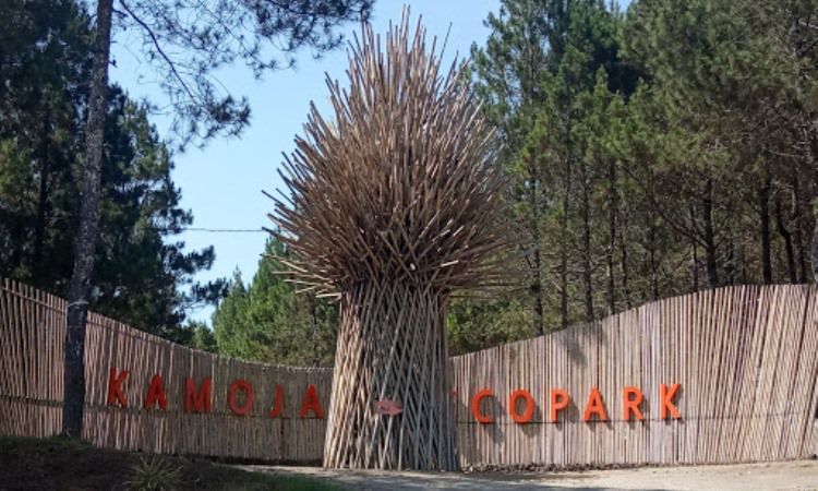 Kamojang Ecopark, Destinasi Wisata Alam dengan Panorama Hutan Pinus di Garut